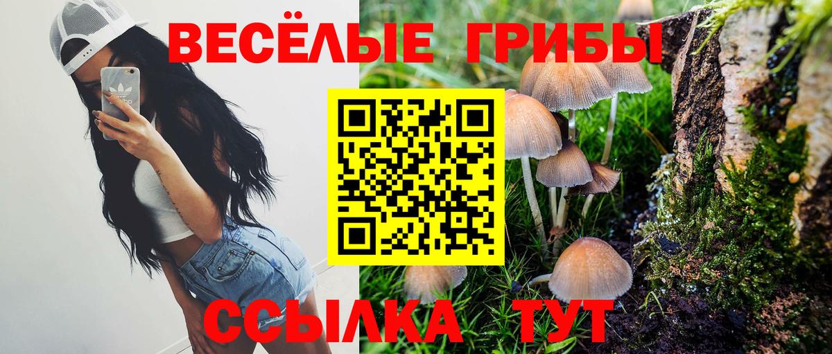 Псилоцибиновые грибы GOLDEN TEACHER  купить   Приморско-Ахтарск  Вход с VPN 